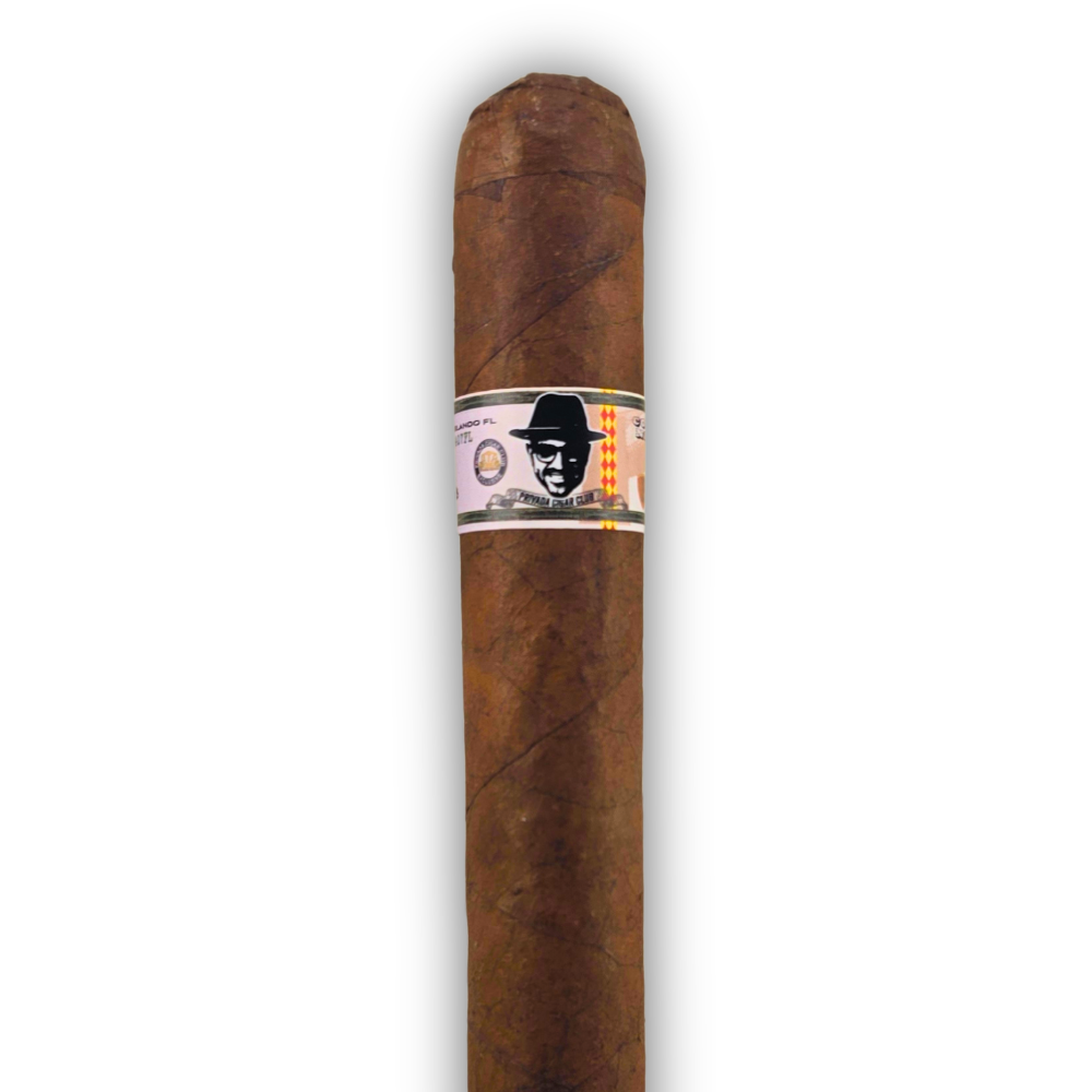 How to Read a Cigar Band: A Beginner's Guide to What's Actually on the Wrapper