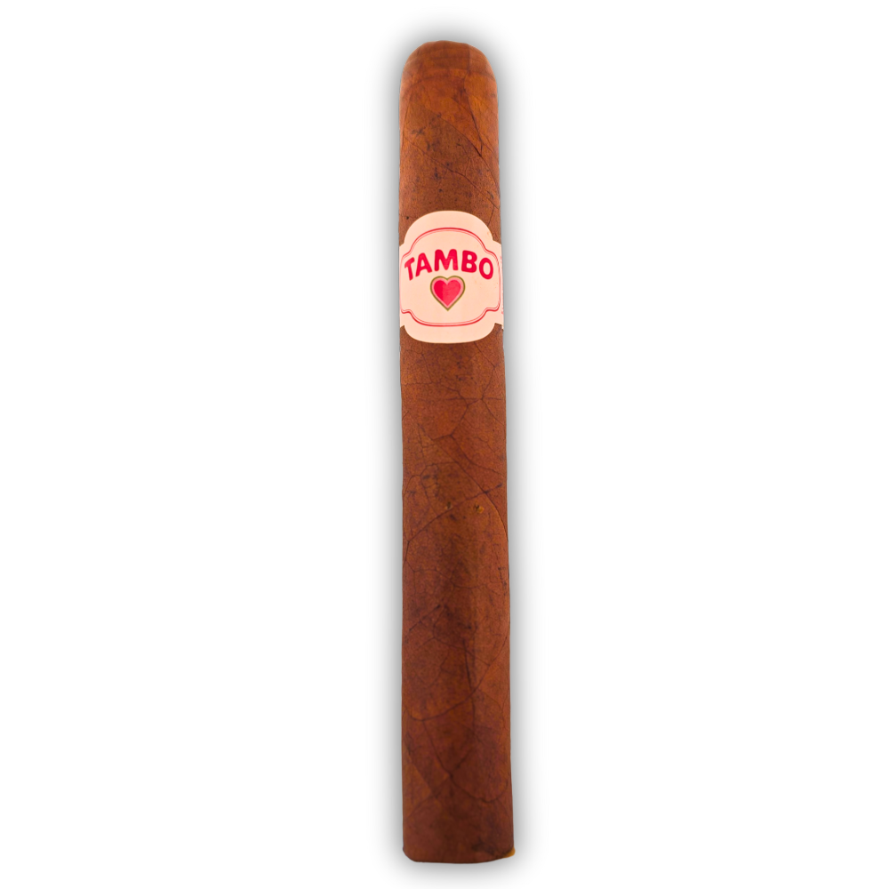Cigars By Price - $10 or Less