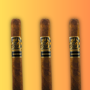 村越弘明 HARRY THE BEST STILL CRAZY 狼煙 DISC2 Wildfire Cigars The Revivalist | Tinder Box